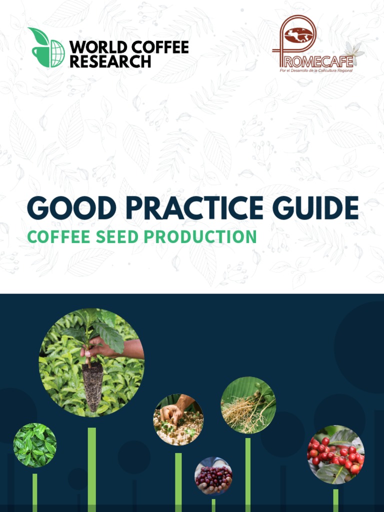 Guide 1 Seed Producers  PDF Fertilizer Soil