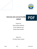 Internal and External Fertilization in Animal
