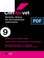 MM Clindervet 09