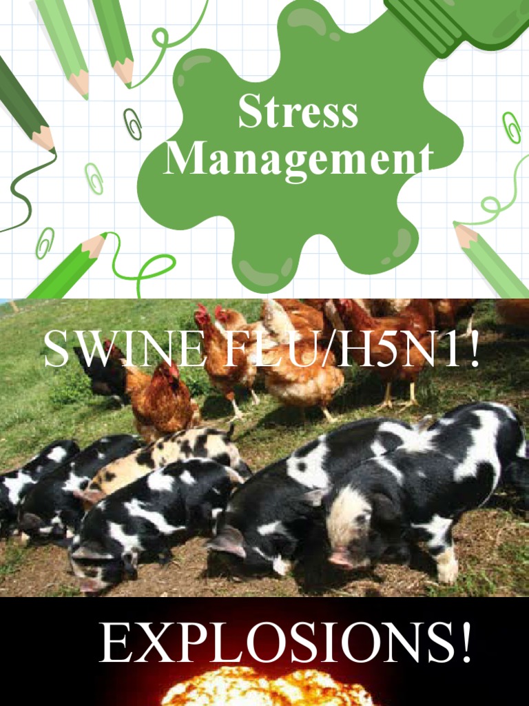 Stress Management - 3 | PDF | Stress (Biology) | Well Being