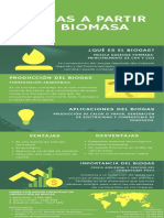 Biogas A Partir de Biomasa