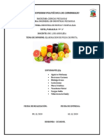 Informe - Elaboracion de Pulpa de Mango