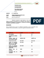 Informe de Cantera Taparachi