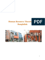 Human Resource Theories and Banglalink