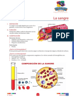 BIOLOGIA_4to grado_S2_la sangre.pdf