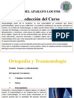 Introduccion Al Capitulo de Cirugia Del Aparato Locomotor MATRIZ (Dr. J Cangslaya)