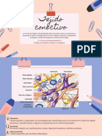 Tejido Conectivo PDF