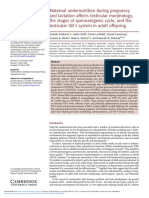 Maternal undernutrition during pregnancy and lactation affects testicular morphology, the stages of spermatogenic cycle, and the testicular IGF-I system in adult offspring