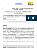 Torres-Castro et al., 2020 Leptospira en murcielagos Yucatán