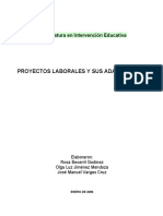 08 Proyectos Laborales y Sus Adaptaciones