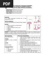 Escala de Bromage | PDF