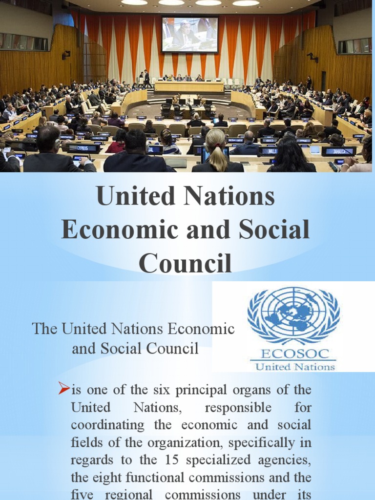 Overview of the UN Economic and Social Council | PDF | United Nations ...