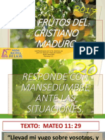 Fruto 20 - Responde Con Mansedumbre Ante Las Situaciones