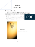 BAB 13 Genetika PDF