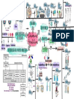 Mapa Mental - Química Analítica. Fundamentos