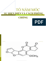 Trung Doc To Nam Moc