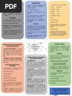 Chapter 1 - Definition of Terms: What Are The Characteristics of Official Sources?