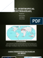 Mediul Subtropical, geografie