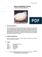 burung_puyuh.pdf