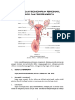 Anatomi Fisiologi Reproduksi Wanita 2020