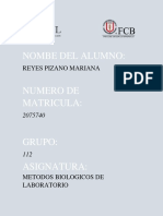 5 Reinos PDF