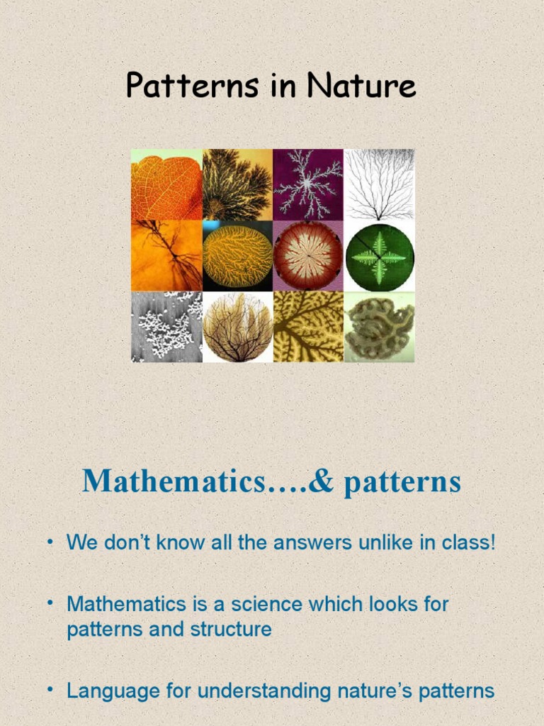 Patterns in Nature | PDF | Teaching Mathematics | Science