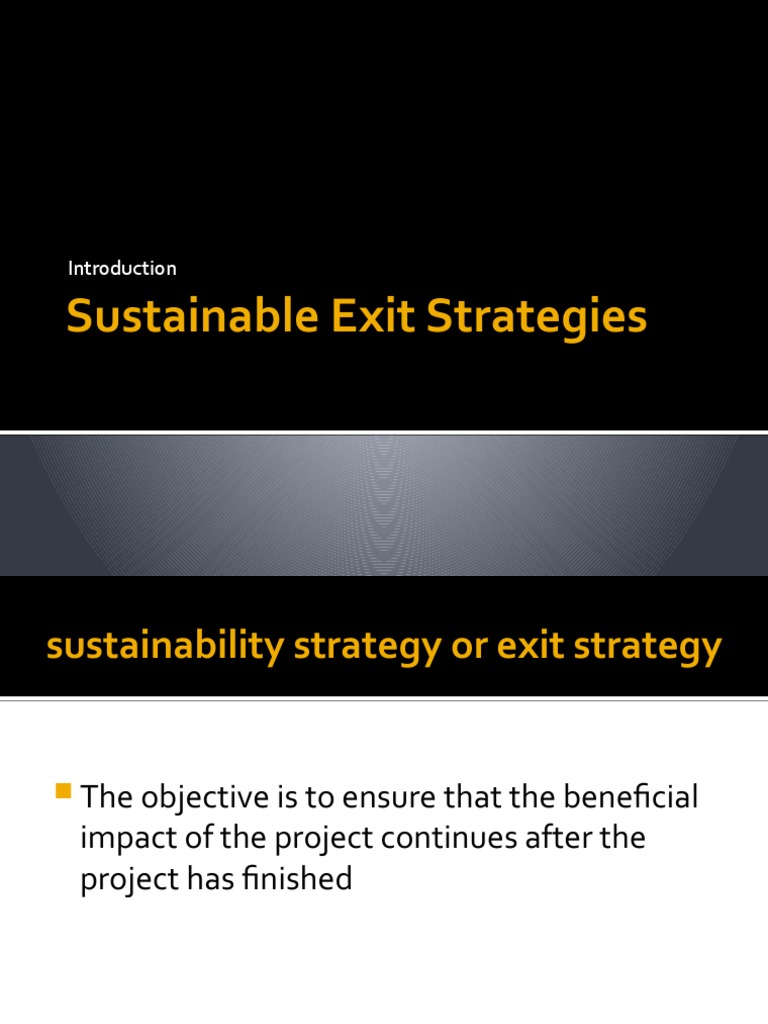 Sustainable Exit Strategies | PDF | Poverty | Poverty & Homelessness