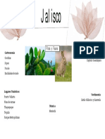 Jalisco PDF