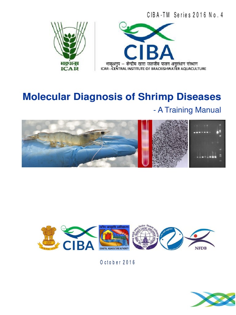 2016 Molecular Diagnosis of Shrimp Diseases PDF | PDF | Polymerase ...