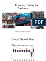 World Economy During The Pandemic