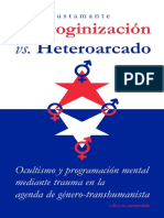 Pedro Bustamante - Androginizacion y Heteorcado