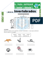 Ficha de Los Invertebrados para Tercero de Primaria