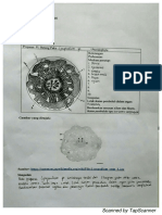 Tri Wahyu Subekti - Praktikum 11