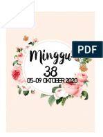 Minggu 38