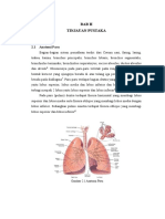 ANATOMI DAN FISIOLOGI PARU-PARU
