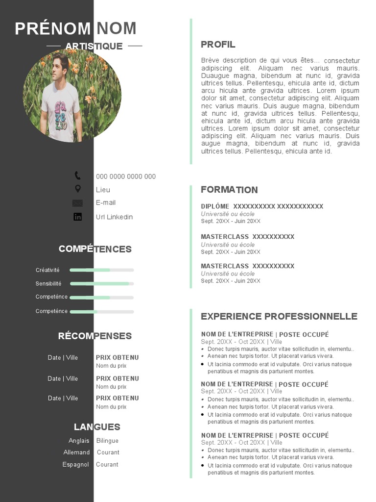 Modele Cv Artistique Pdf Business