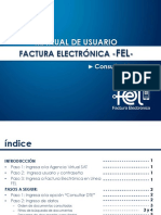 Manual de Usuario Factura Electronica FEL CONSULTA