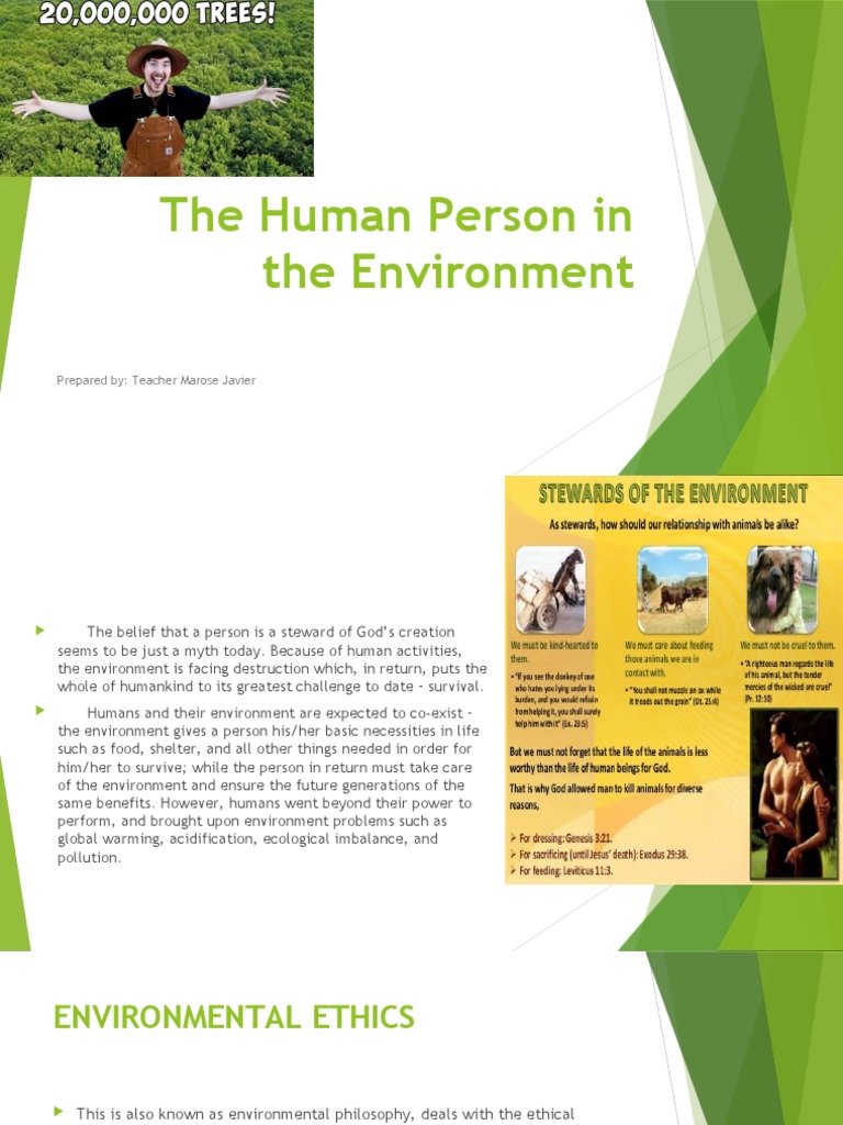 the human person in the environment essay 300 words