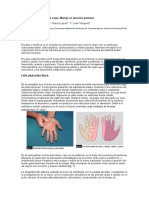 Lesiones Traumáticas Del Carpo