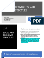 Common Economics and Social Stucture