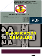 Clasificacion Muller EXPO