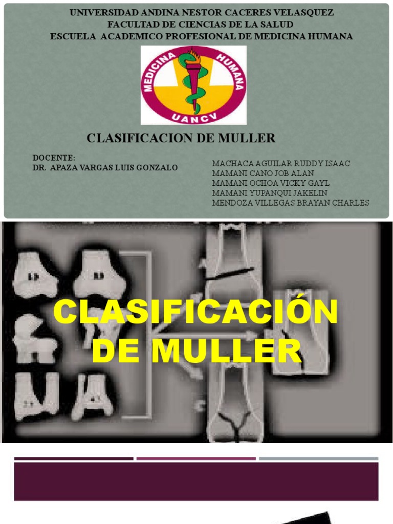 Clasificacion Muller EXPO | PDF | Sistema esquelético | Sistema ...
