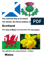 Scotland: The National Flag of Scotland The Thistle, The Floral Emblem of Scotland
