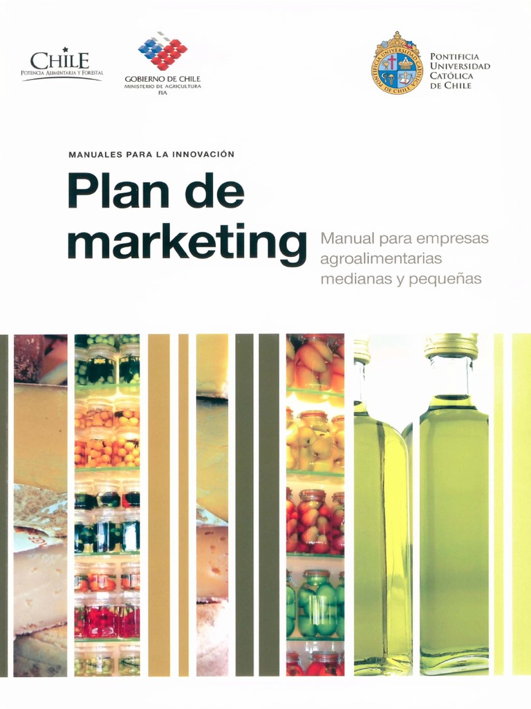 Plan de Marketing - Manual para Empresas | PDF | Marketing | Cliente