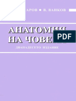 Анатомия на човека PDF