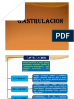 GASTRULACION (1).pdf