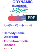 Ch4-Hemodyn