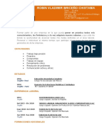 8 Curriculum Vitae Profesional Naranja