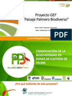 Proyecto Paisaje Palmero Biodiverso