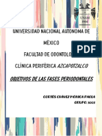 Objetivo de La Fase Periodontal